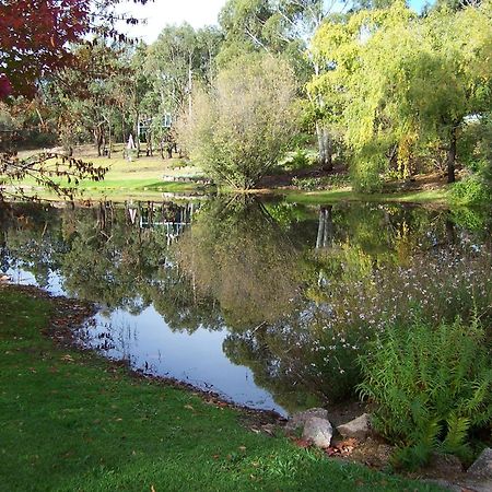 Granite Gardens Cottages & Lake Retreat Stanthorpe Kültér fotó