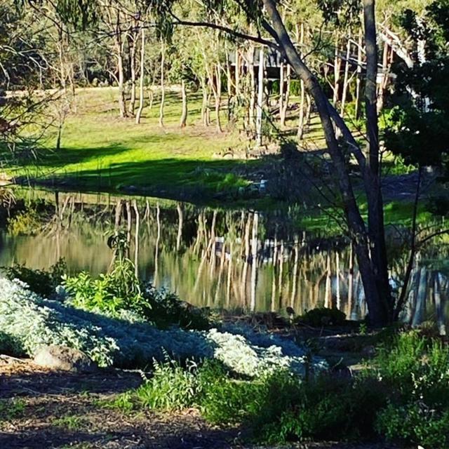 Granite Gardens Cottages & Lake Retreat Stanthorpe Kültér fotó