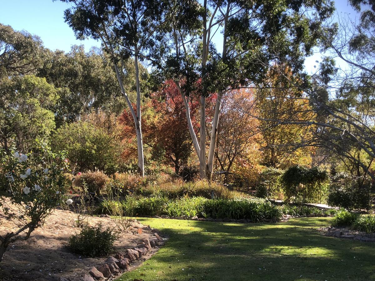 Granite Gardens Cottages & Lake Retreat Stanthorpe Kültér fotó