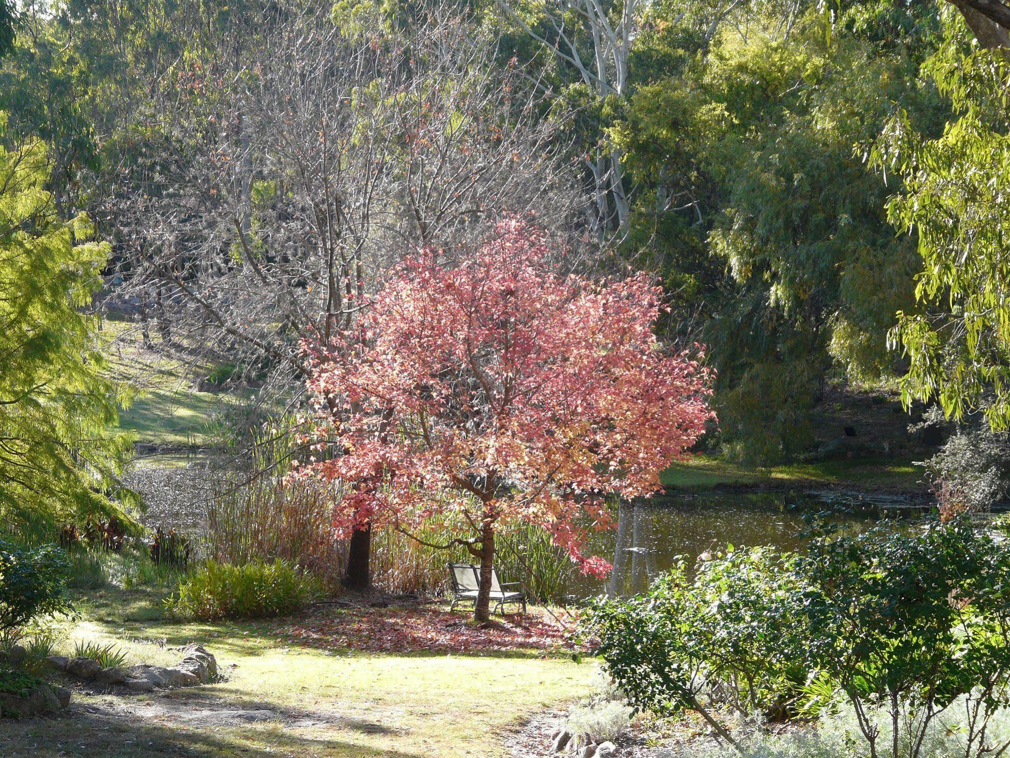 Granite Gardens Cottages & Lake Retreat Stanthorpe Kültér fotó